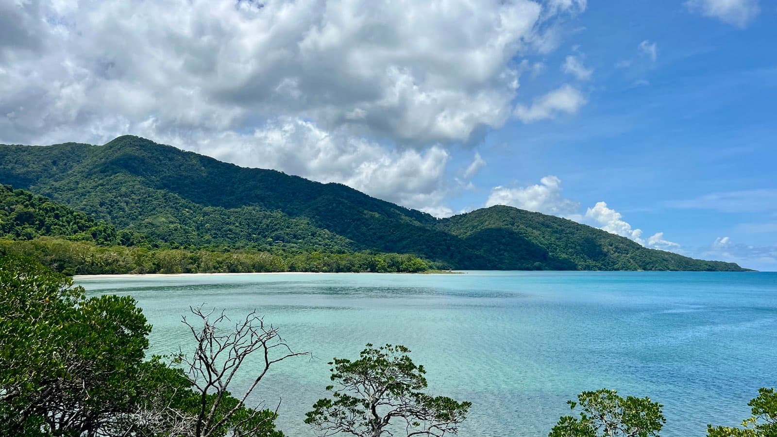 Collines de la forêt de Daintree plongeant dans un lagon turquoise, Australie